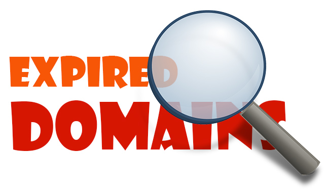 How-to-Successfully-Acquire-Valuable-Expiring-Domains-at-Little-Cost-1